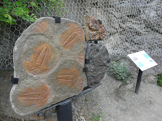 Zoo Praha trochu jinak - Geostezka a historická štola